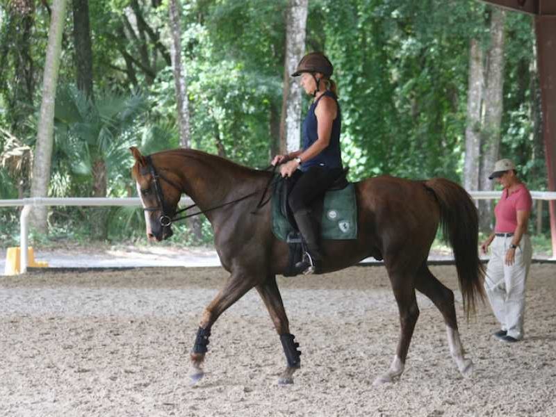 141414-Plumwood-Arabians-Riding-Arena-70x200-Equestrian-undefined-Altoona-FL-UnitedStates-1