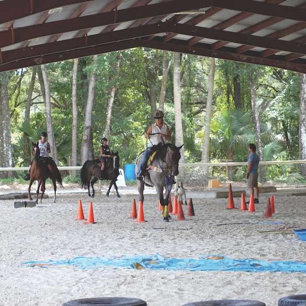 141414-Plumwood-Arabians-Riding-Arena-70x200-Equestrian-undefined-Altoona-FL-UnitedStates-1