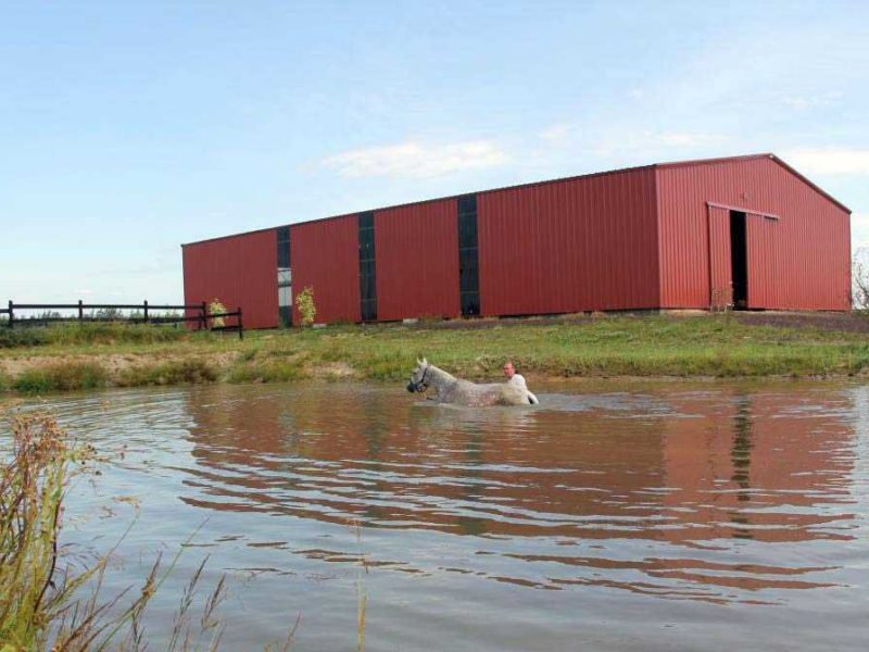 151384-Indoor-Riding-Arena,-Les-Ecuries-Diabolo-Riding-Arena-70x110-Equestrian-Crimson-Red-StAgapit-QC-Canada-3