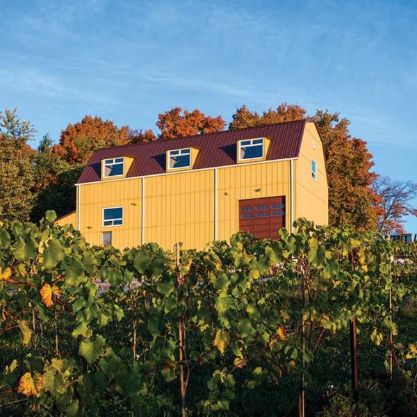 200937-The-Creemore-Hills-Winery-40x60-Commercial-Yellow-Creemore-ON-Canada-2