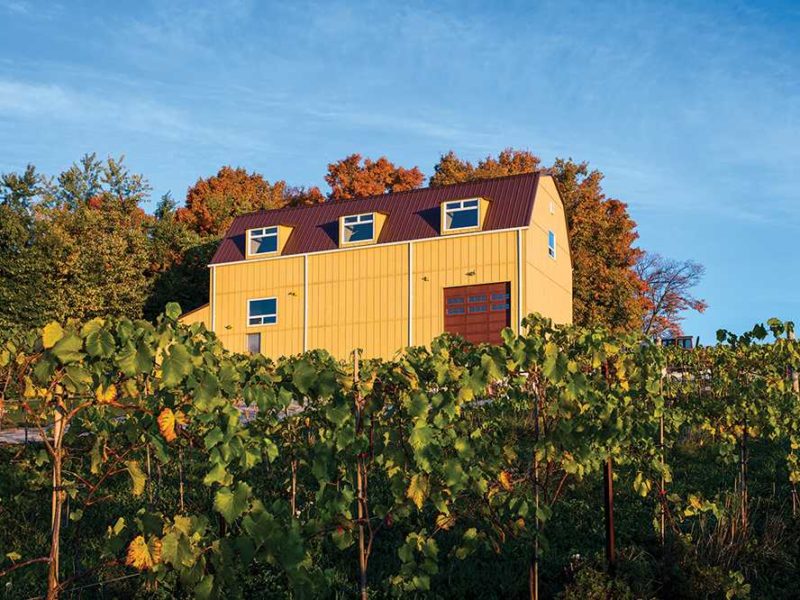 200937-The-Creemore-Hills-Winery-40x60-Commercial-Yellow-Creemore-ON-Canada-2