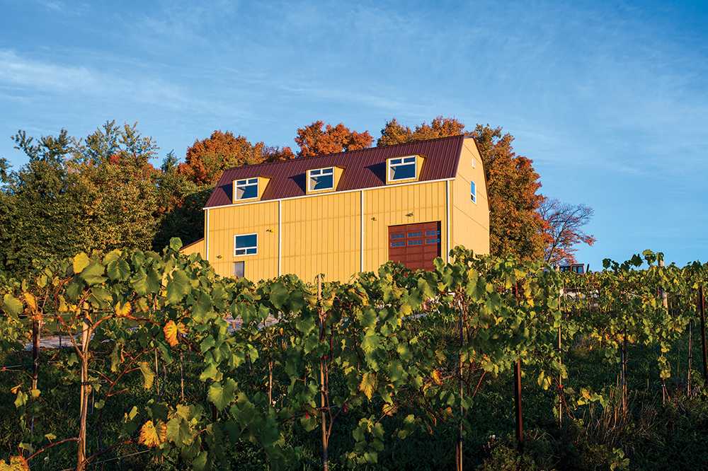 200937-The-Creemore-Hills-Winery-40x60-Commercial-Yellow-Creemore-ON-Canada-2