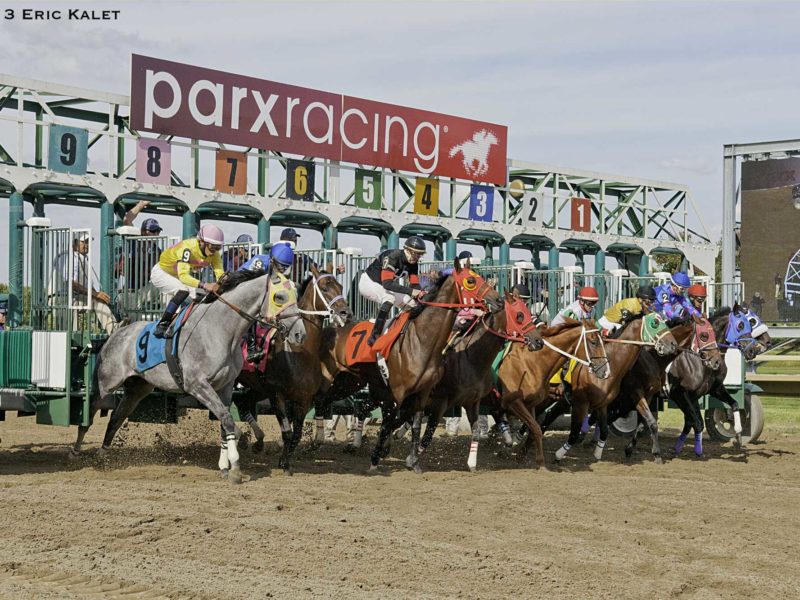 204068-Parx-Casino-And-Racing-Stables-50x258-Equestrian-Green-Bensalem-PA-UnitedStates-8