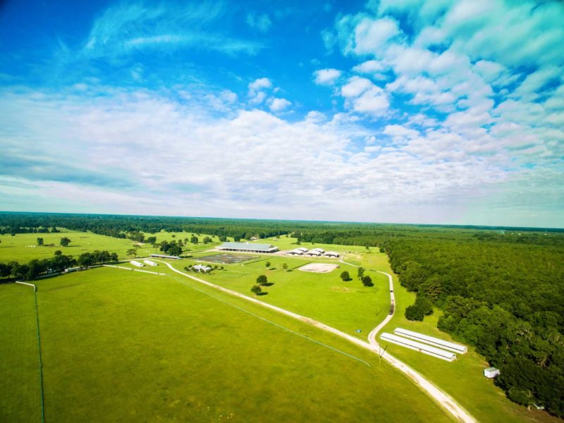 301100-Florida-Horse-Park-Covered-Riding-Arena-82x116-Equestrian-Light-Stone-Ocala-FL-UnitedStates-6