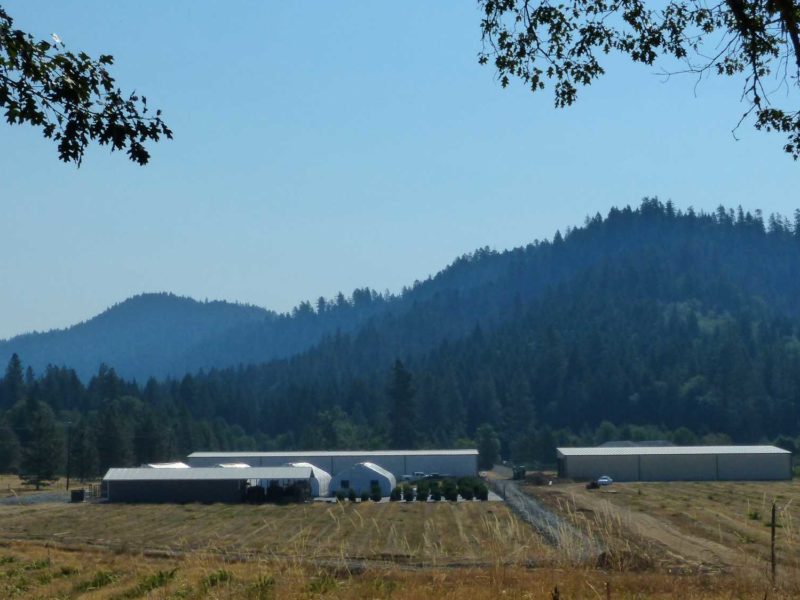 60x200 Steel Building Grow House, Selma , OR