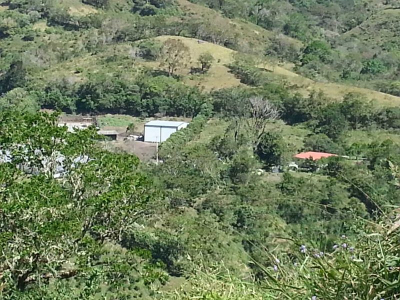 204134-Ninety-Plus-Coffee-Storage-Warehouse-54x42-Agricultural-Gray-Volcan-undefined-Panama