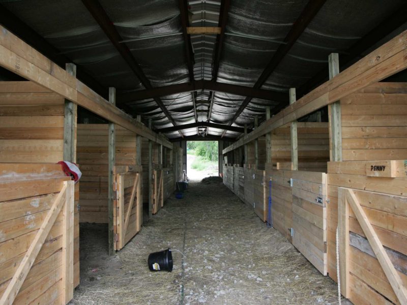 26020-Equestrian-Barn-Stables-30x80-Equestrian-Beige-Lyndhurst-ON-Canada-1