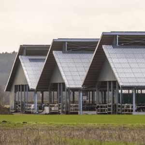 metal barn