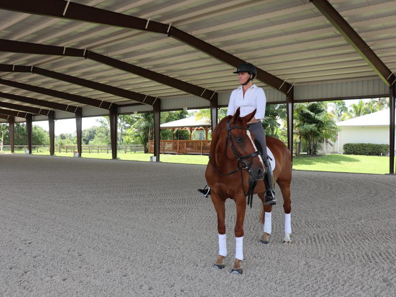 An equestrian riding a horse in the covered riding arena in Florida