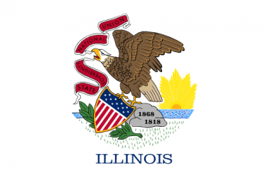 State of Illinois Flag