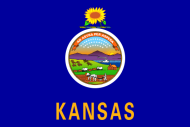 State of Kansas Flag