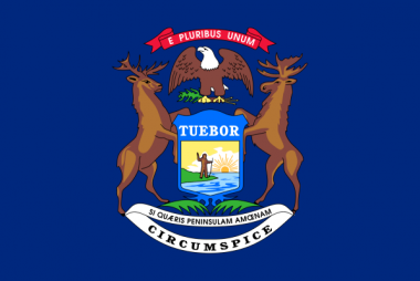 State of Michigan Flag