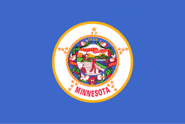 State of Minnesota Flag