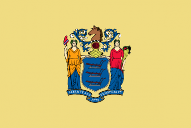 State of New Jersey Flag