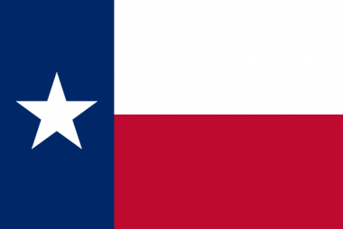 State of Texas Flag