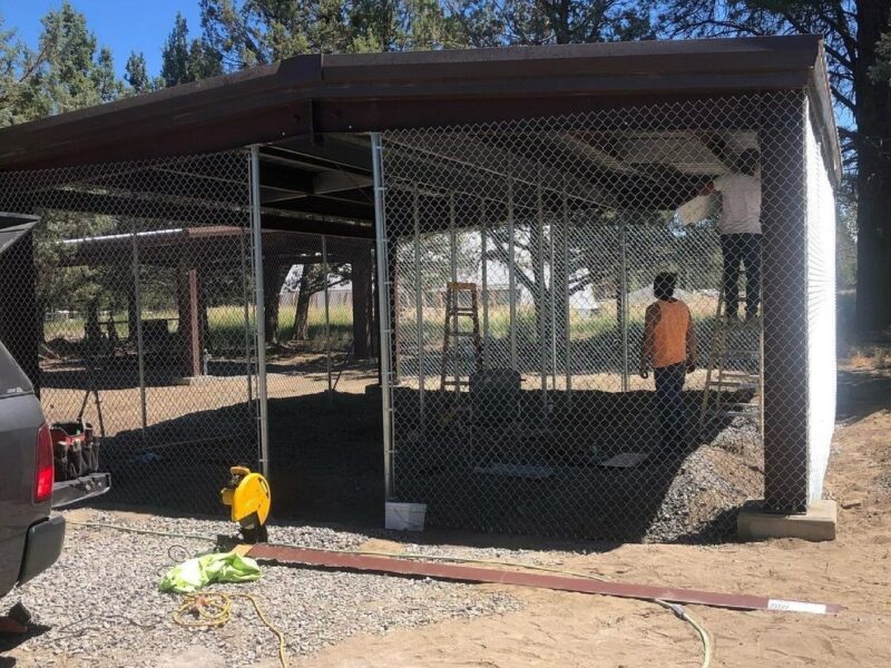 Steel Building Canopy, Animal Enclosure